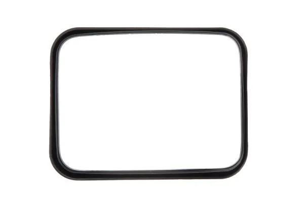 Sirokouhle zpetne zrcatko PACOL DAF-MR-018