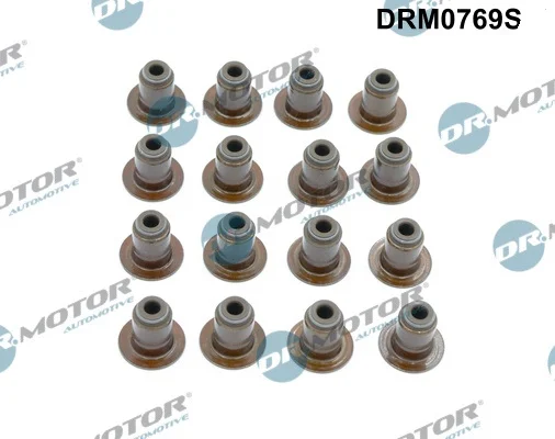 Sada těsnění, dřík ventilu Dr.Motor Automotive DRM0769S Sada těsnění, dřík ventilu Dr.Motor Automotive DRM0769S
