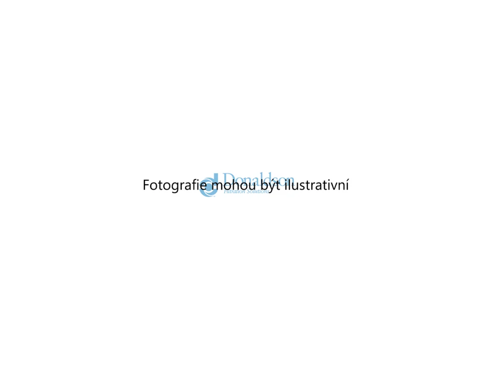 Palivový filtr (DONALDSON P550105) 1901066