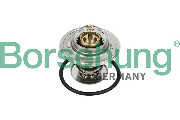 Termostat, chladivo Borsehung B18231 – OE 030121113B Termostat, chladivo Borsehung B18231 – OE 030121113B