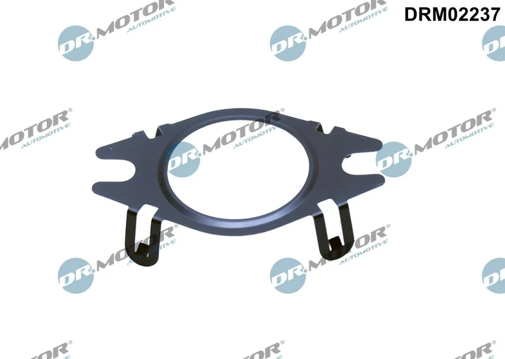 Těsnění, vedení AGR ventilu Dr.Motor Automotive DRM02237